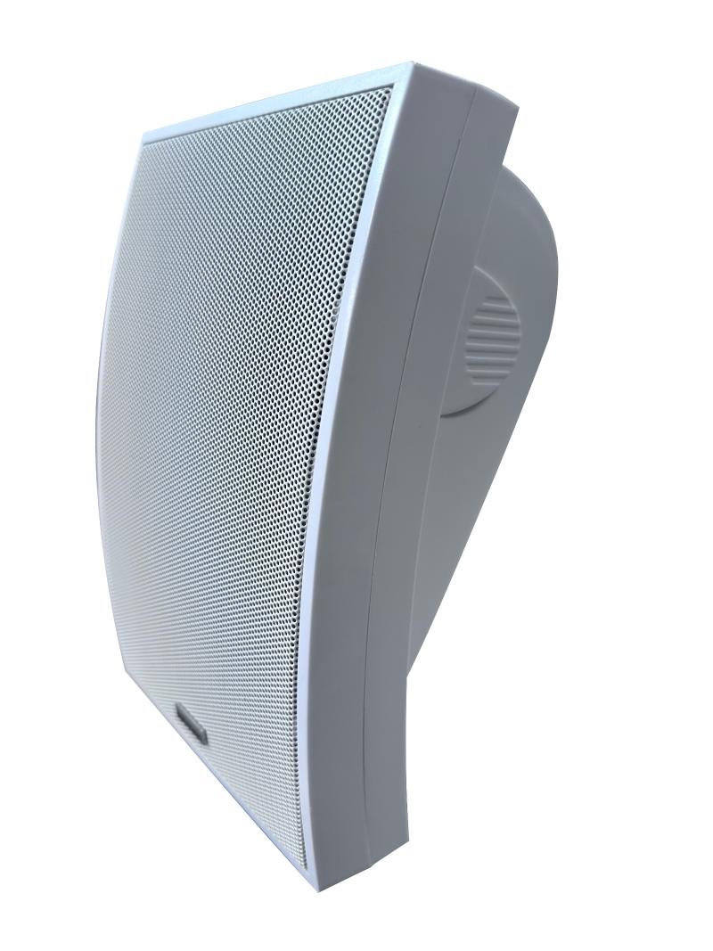 مكبر صوت بقدرة 20 واط من هيكفجين DS-QAE0120G1E-V
